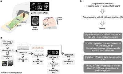 Pre-processing of Sub-millimeter GE-BOLD fMRI Data for Laminar Applications